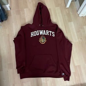 Urban Outfitters Champion Harry Potter Hogwarts Hoodie Sweatshirt